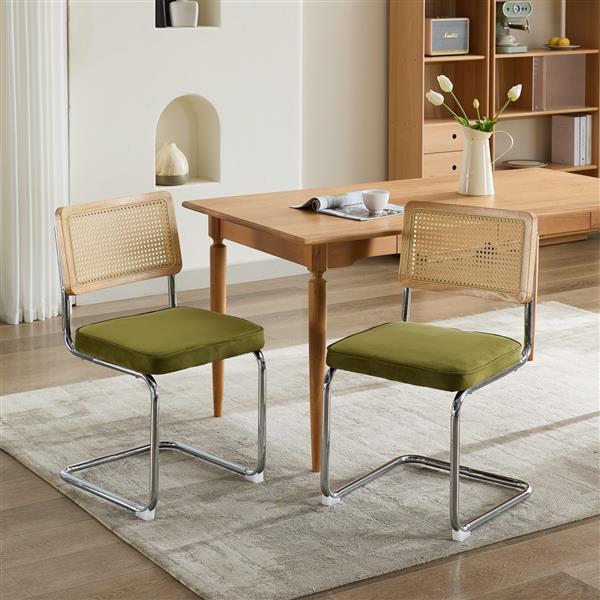 Mid-century Modern Dining Chair 2-piece Set